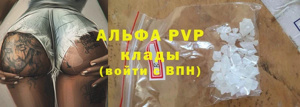 прущие крисы Верея